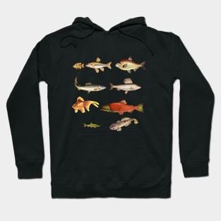 Fishing Line Hoodie